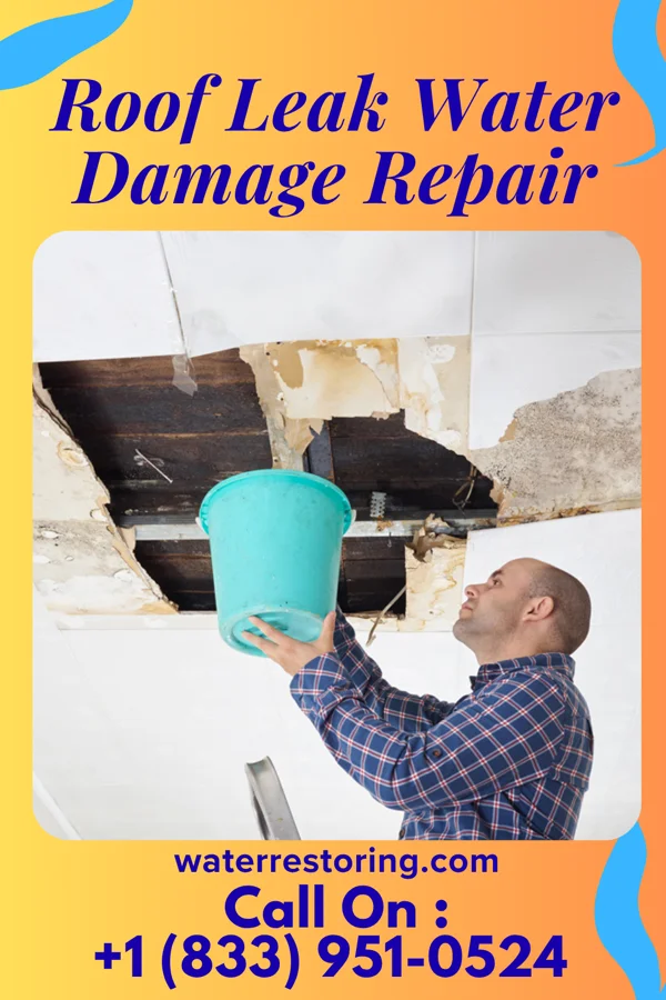Roof Leak Water Damage Repair in Farmersville, IL