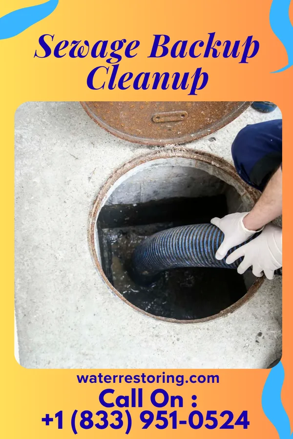 Sewage Backup Cleanup in Farmersville, IL