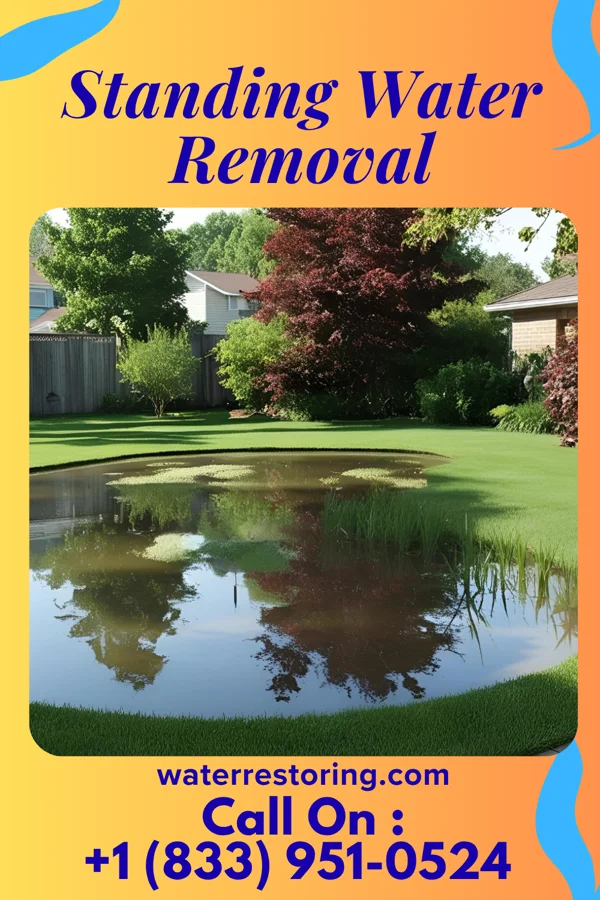Standing Water Removal in Farmersville, IL